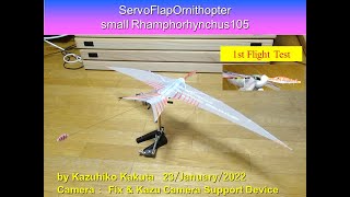 サーボ駆動翼竜型羽ばたき機 20g　初試験飛行　ServoFlapOrnithopter small Rhamphorhynchus105 1st Flight Test