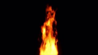 Famous Single Column Fire Loop Stock Motion Graphics Net Worth
