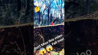 don't Miss this video Fall tree!#tree #fall #woodworking #shortsfeed #shorts #treeworks #wood