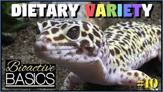 Dietary Variety For Reptiles - Are Staple Diets A Good Idea? Bioactive Basics