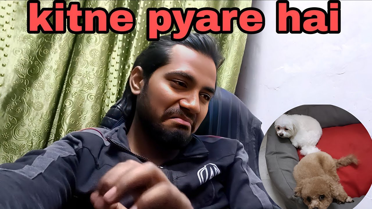 kitnets  pyare hai ❤️ | कितने प्यारे हैं  ( daily vlog no 46) #love @Deepakvlogs-DK-V