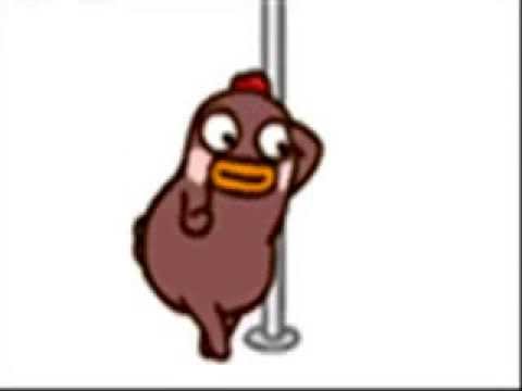 pole, dancing, chicken, funny.