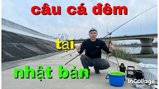 017 | Câu Lươn Ở Nhật Bản / Xuân Cảnh TV | Cuộc Sống Ở Nhật