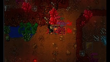 Tibia: 9 Hunting Wyrms