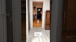 Baxter Has Something To Say To You