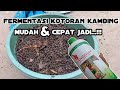 Cara fermentasi kotoran kambing mudah dan cepat jadi