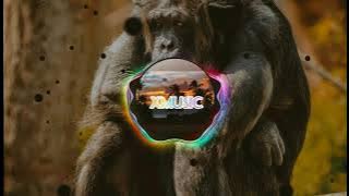 DJ ITS MY LIFE LA LA LA x INDIAN MASHUP 2 REMIX TERBARU 2021