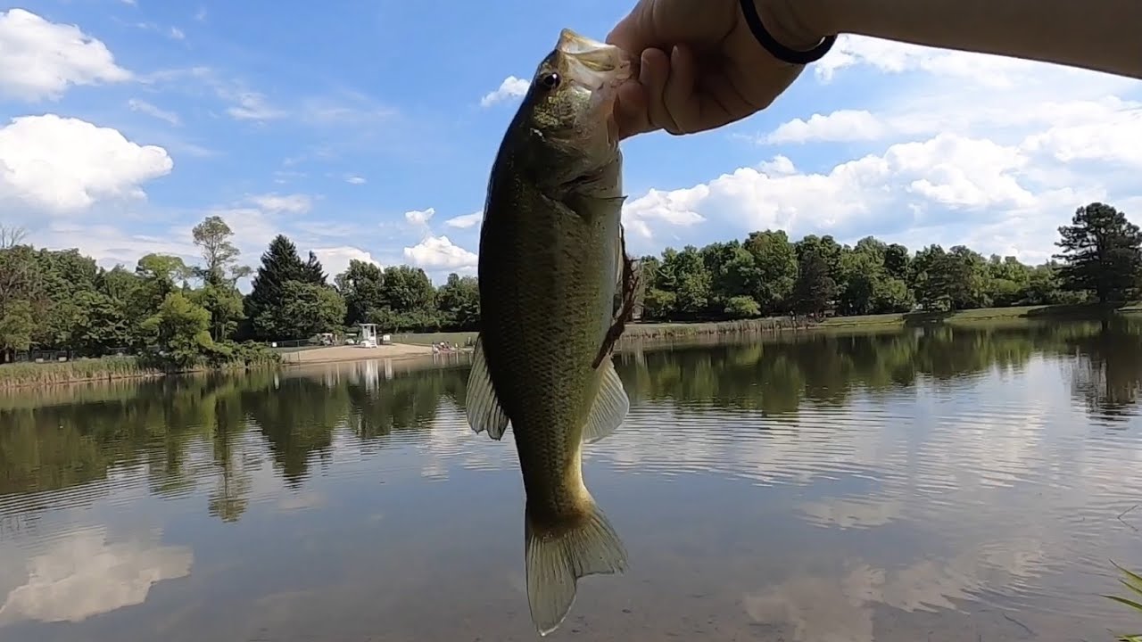 This Short Fishing Session Was a Success! YouTube