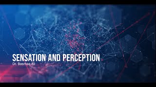 Sensation and Perception - Lecture 3 - Paradigms in Brain Function