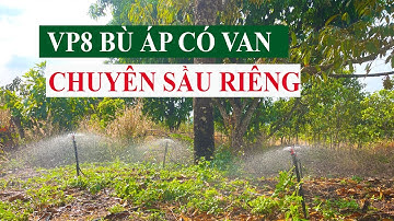 VP8 béc tưới sầu riêng bù áp có van khoá tích hợp | vnplant