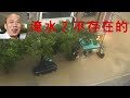 【惡搞】高雄不會淹水 thumbnail