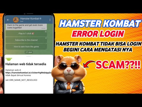 Cara Mengatasi Hamster