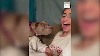 Funniest Cats And Dogs Videos | Funny Animal Videos 2022 😂😺😍#AdorableAnimals #cats by Adorable Animals 8 views 1 year ago 54 seconds