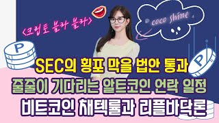 SEC의 횡포 막을 법안 통과/ 줄줄이 기다리는 알트코인 언락 일정/비트코인 채택률과 리플바닥론