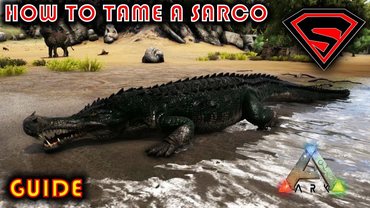 how to tame a sarco in ark mobile Chloe Reid