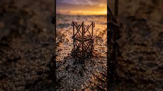Ants Built the Eiffel Tower. Nobody Asked Them To.