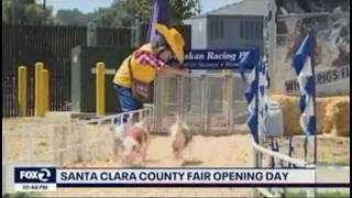 KION Fox 35: Interactive 2026 Santa Clara County Fair Exhibits