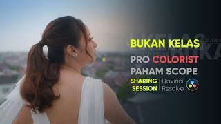 UNDERSTANDING SCOPE Davinci Resolve Indonesia