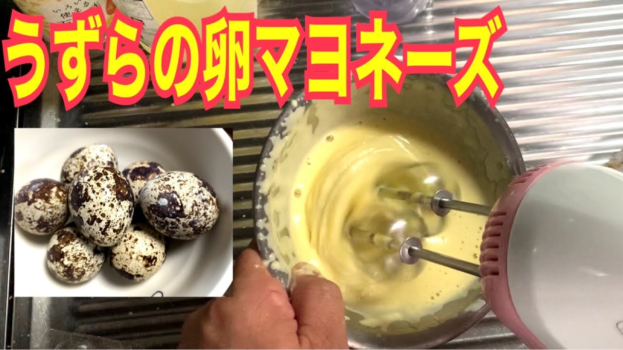 ブロジェクｔ Blog Project Blogect 愛知県新城市ブログ