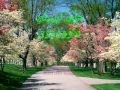 كــاظم الساهر  ظــــلى زيــــدي مع الكلمات