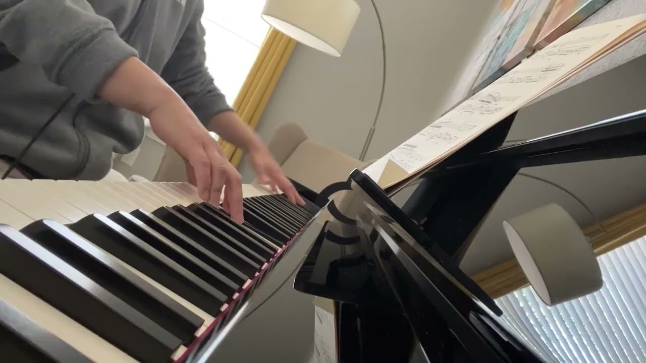 ショパン Chopin: Nocturne No.19 in E minor, Op. posth. 72 no.1