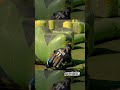 Paintball In The Air Slow-Mo - SPBL2023 Vierumäki #Shorts