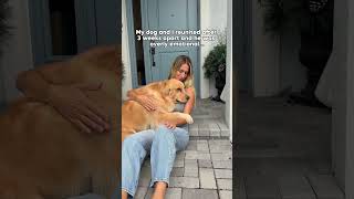 NEVER AGAIN! 😭 #dogsofyoutube #dog #dogs #goldenretriever