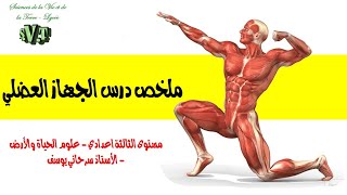 مستوى الثالثة اعدادي - ملخص درس الجهاز العضلي