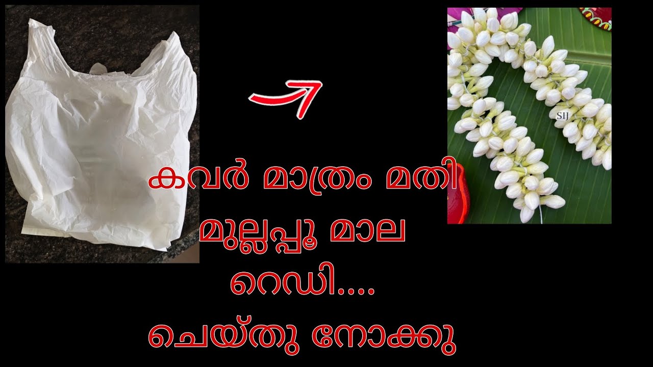 ഇനിപൈസ കൊടുത്തു മുല്ലപ്പൂ മാല വാങ്ങിക്കേണ്ട 🏵️ചെയ്തു നോക്കു| Jasmine |craft |butterfly vibe vlogz 🦋