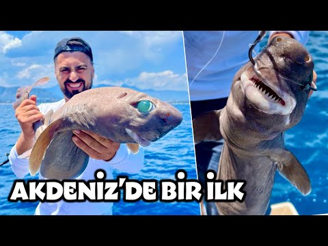 Korkunç Bir Köpekbalığı Türü Yakaladık !! / Yeni Teknemin Motor Bakımı