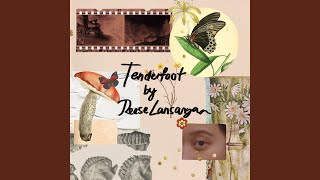 Tenderfoot - Reese Lansangan
