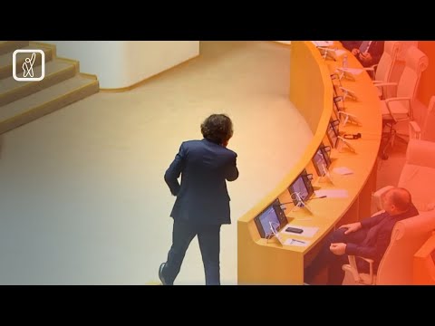 „ოცნება“ ცესკო-ს თავმჯდომარეს ერთპარტიულად აირჩევს