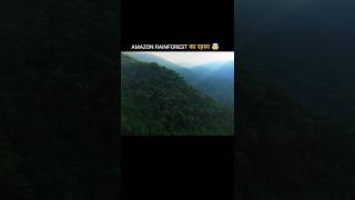 Amazon Rainforest का रहस्य 🤯 #shorts #facts
