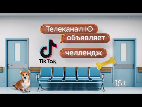 Мы запускаем ТикТок челлендж! #лапкиньюс