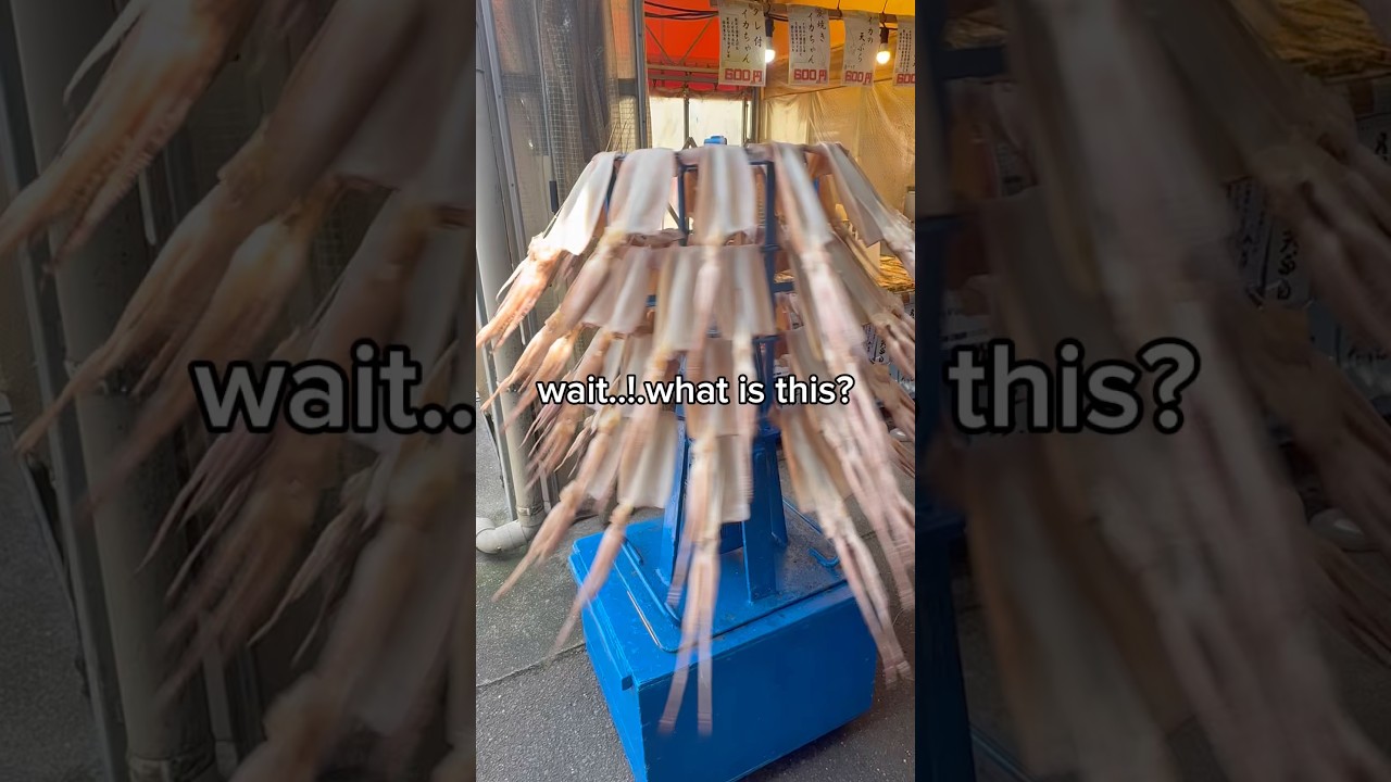 Wait… what is this?