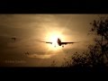 We Love Aviation - Amor por la Aviación