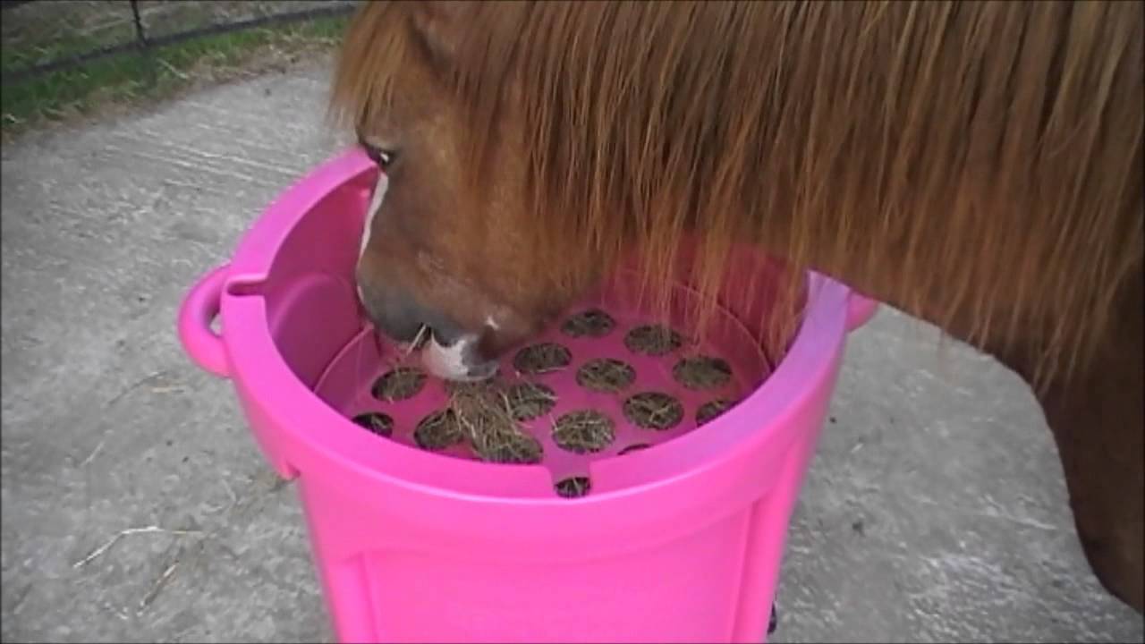 Eazigrazer Hay Feeder Simulating Natural Grazing Youtube