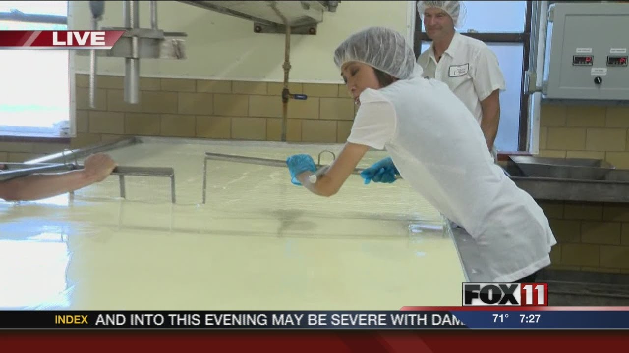 Making gouda cheese YouTube