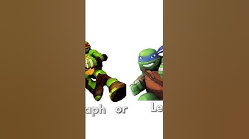 #fyp #shorts #tiktok #newyear #2023 #leo #raph #mikey #viral #teenagemutantninjaturtles