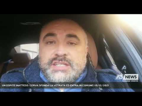 UN OSPITE INATTESO: CERVA SFONDA LA VETRATA ED ENTRA IN COMUNE | 15/12/2021
