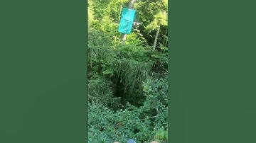 Zipline #ziplines  #climbing #outdoorsport #adventuresports #nature #outdoorexcitement