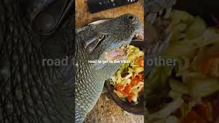 funny #funnyvideo #promode #viralvideo