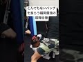 えぐいパンチがこの後入ります #ブレイキングダウン #朝倉未来 #rizin #朝倉海 #格闘技 #総合格闘技
