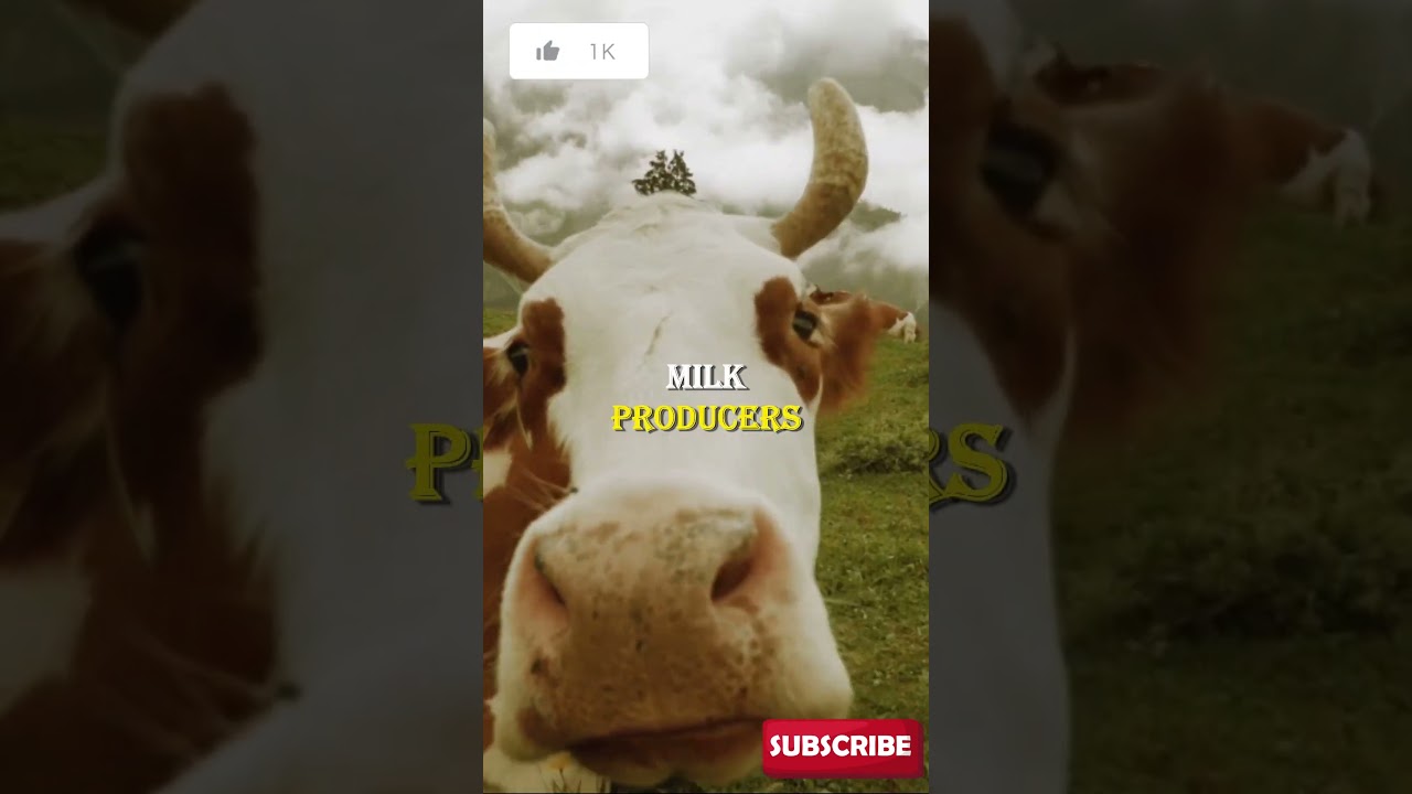 Curious Wonders: Unveiling Fascinating Facts About Earth's Enigmatic Creatures 