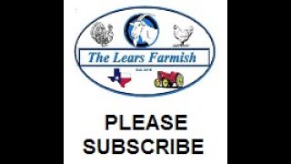 Updates from The Lears Farmish by The Lears Farmish 34 views 9 months ago 8 minutes, 52 seconds