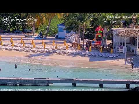 Best Caribbean Beach Cams - October 19🌴