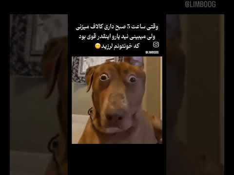 بنام خدا