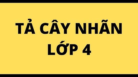 TẢ CÂY NHÃN LỚP 4