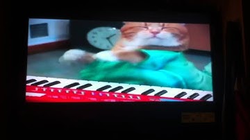 Call of Duty: World at War Modded Keyboard Cat Treyarch.bik