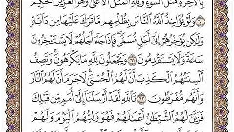 سورة النحل للقارئ الشيخ عبد الرحمان السديس